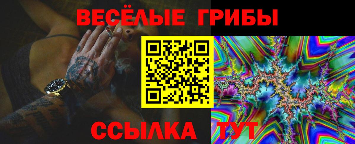 Псилоцибиновые грибы Magic Shrooms Котлас
