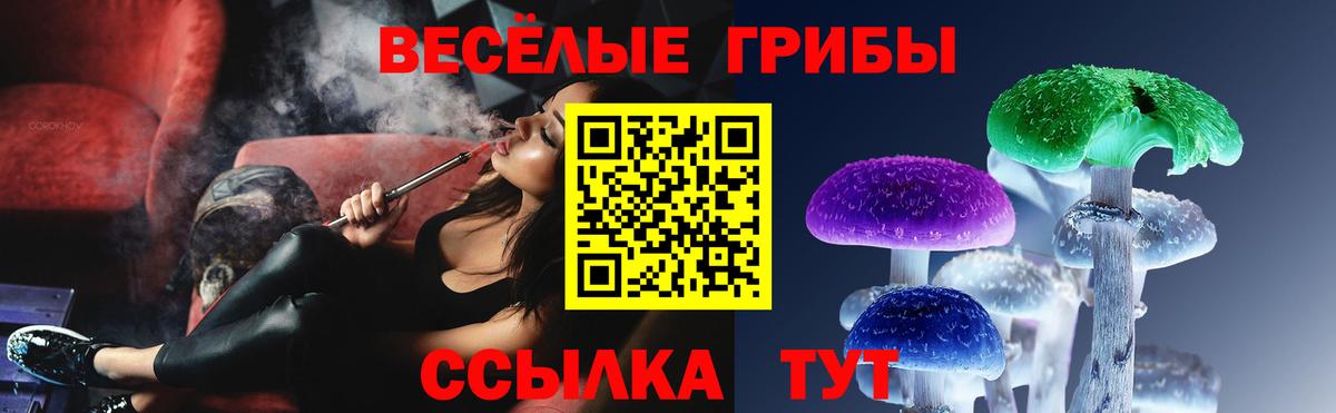 Галлюциногенные грибы ЛСД  Вход с VPN  Котлас 